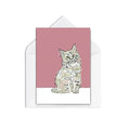 Maine Coone Cat