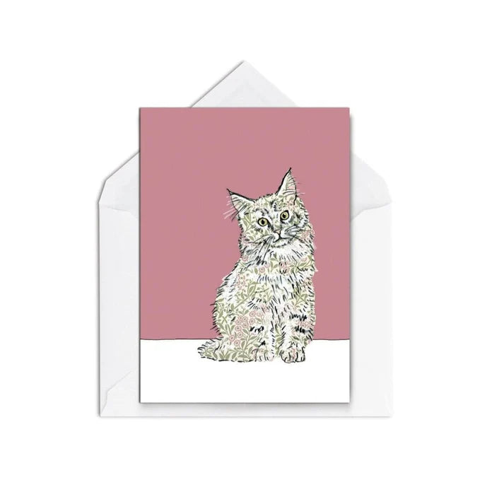 Maine Coone Cat